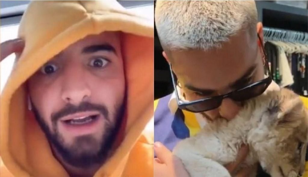 Maluma cancelou sua conta no Instagram depois de responder críticas de um vídeo com um Leão. (Foto: @maluma)